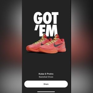 Kobe 6 Protro Reverse Grinch